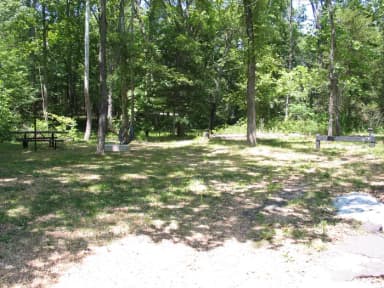 Campsite 19 showing picnic table, fire ring and lantern post