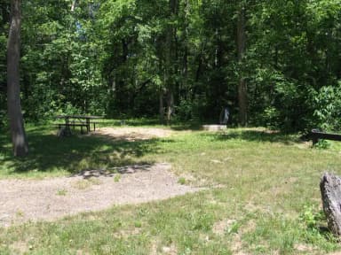 Campsite 23 showing parking spur, picnic table lantern post and fire ring.