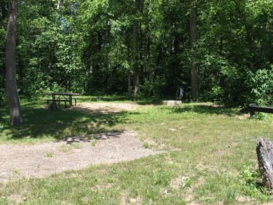Campsite 23 showing parking spur, picnic table lantern post and fire ring.