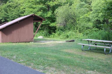Loop NORT · Site L28 at Winhall Brook Camping Area