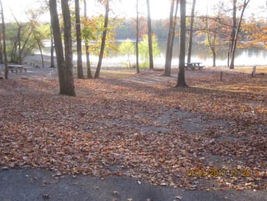 Site 22