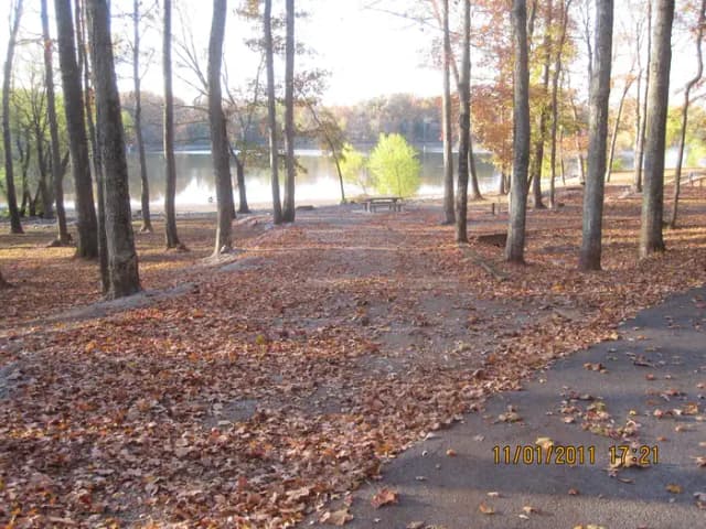 Site 23