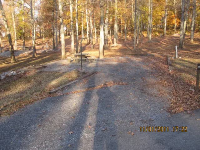 Site 25