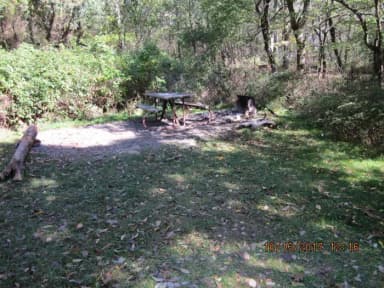 Loft Mountain Campground - Site 39