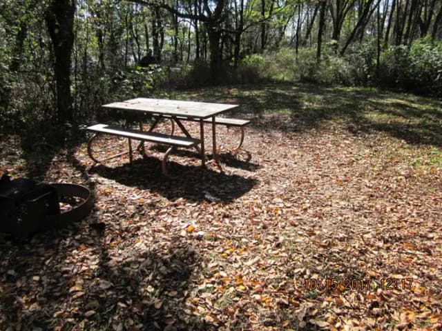 Loft Mountain Campground - Site 40