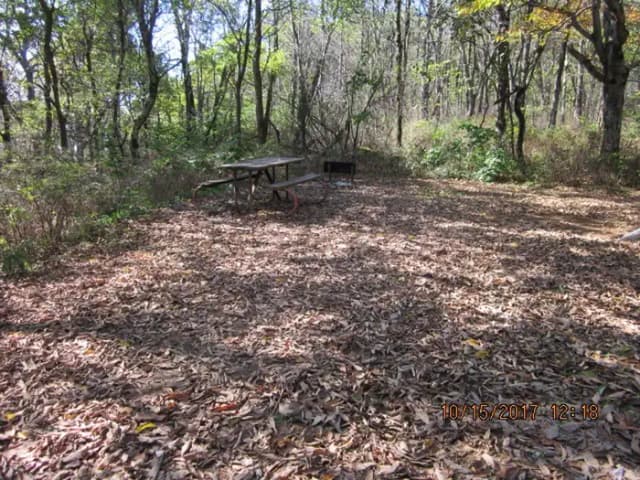 Loft Mountain Campground - Site 41