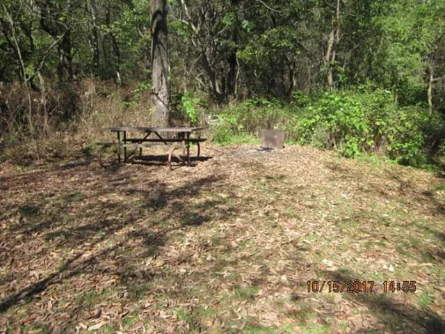 Loft Mountain Campground - Site 42