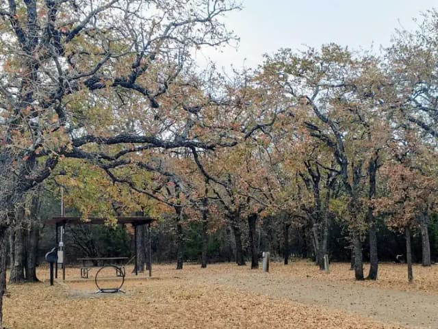 SITE #42