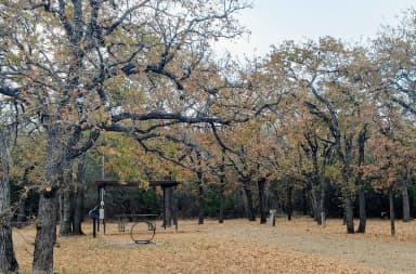 Site #42