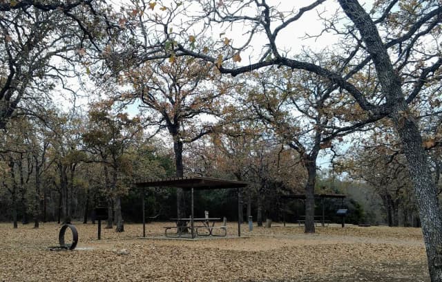 Site #43