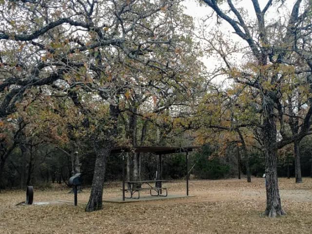 SITE #40