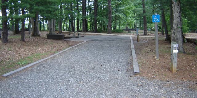Site #31