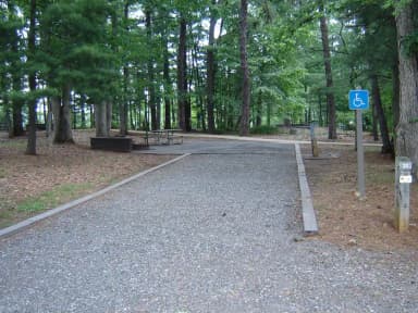 Site #31