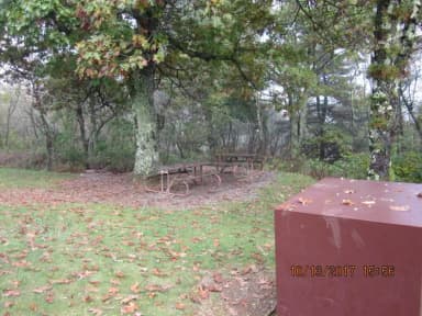 Loft Mountain Campground - Site 46