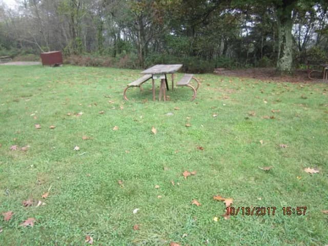 Loft Mountain Campground - Site 48
