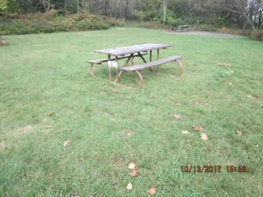 Loft Mountain Campground - Site 49
