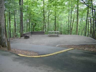 Site #39