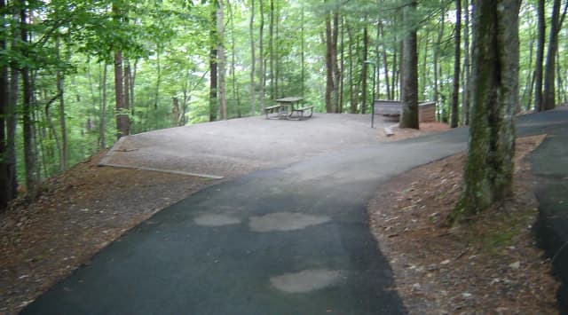 Site #40