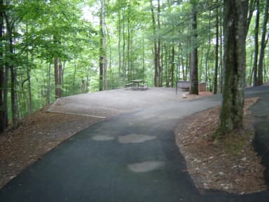 Site #40