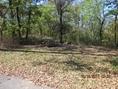 Loft Mountain Campground - Site A51