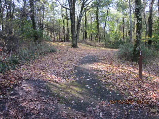 Loft Mountain Campground Site A52