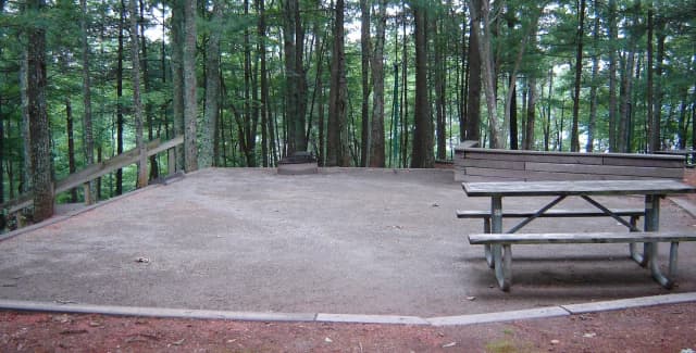 Site #41