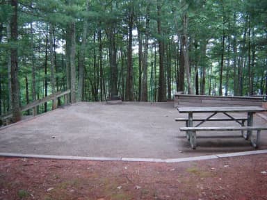 Site #41