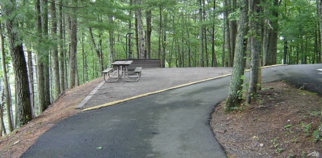 Site #43