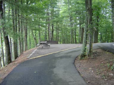 Site #43