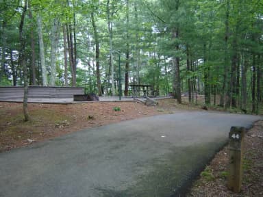 Site #44