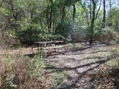 Loft Mountain Campground - Site A54