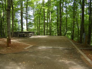 Site #45