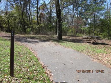 Loft Mountain Campground Site A55