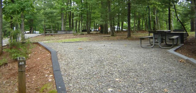 Site #48