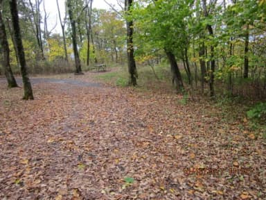Loft Mountain Campground Site A57