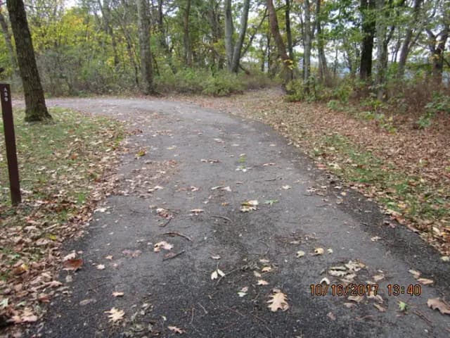 Loft Mountain Campground - Site A59