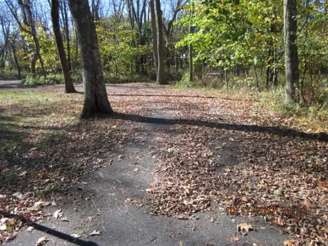 Loft Mountain Campground Site A60