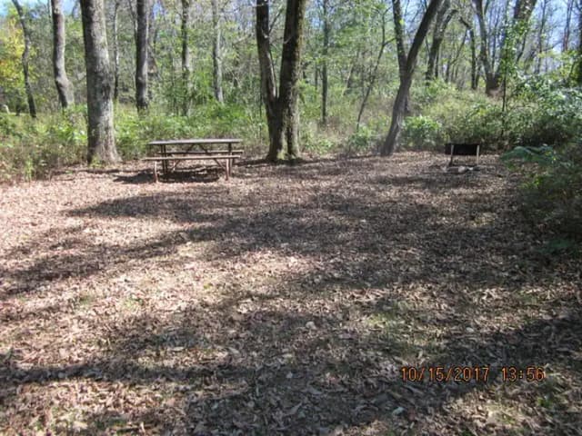 Loft Mountain Campground Site A61