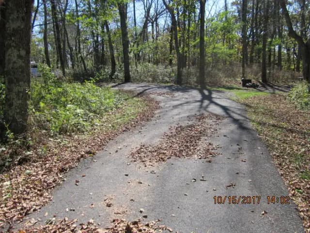 Loft Mountain Campground - Site A62