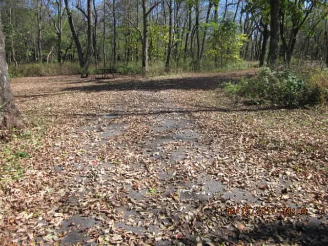 Loft Mountain Campground - Site A63