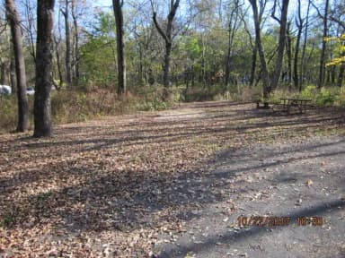 Loft Mountain Campground Site A63