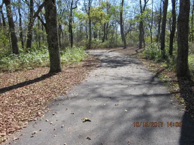 Loft Mountain Campground - Site A64