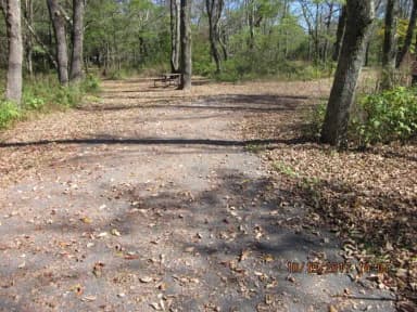 Loft Mountain Campground - Site A65