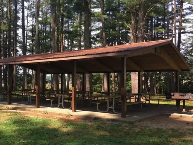 Shelter 2 Photo