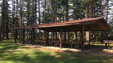 Shelter 2 Photo