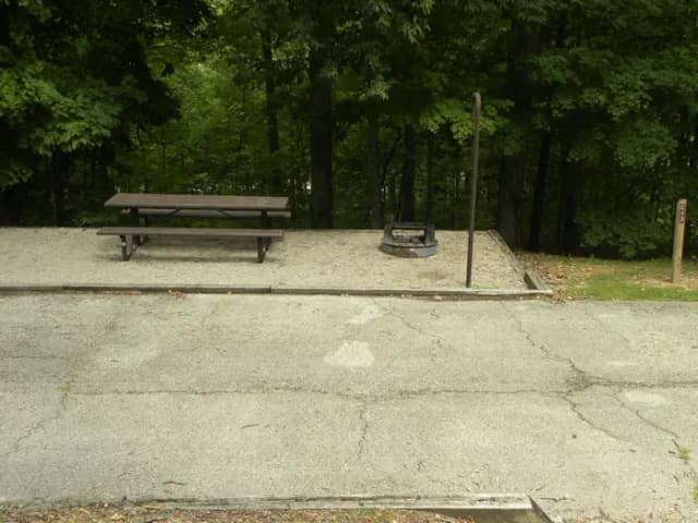 C13