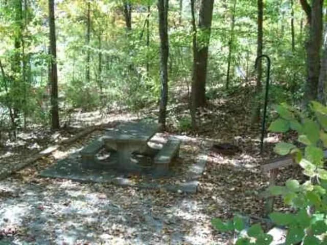 Loop FCRE · Site 36 at Fishing Creek Campground