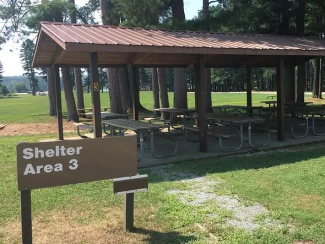 Shelter 3 Photo