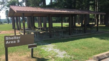 Shelter 3 Photo