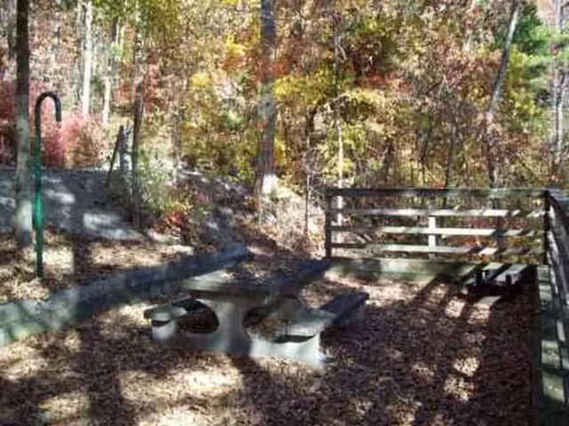 Loop FCRE · Site 41 at Fishing Creek Campground